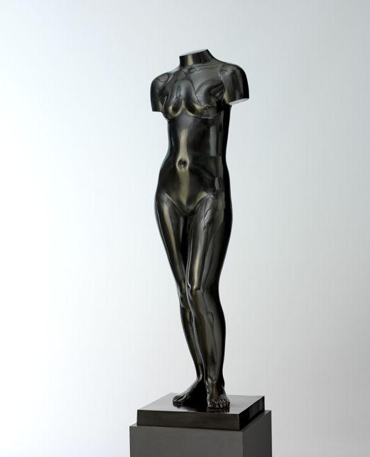 Venus 102